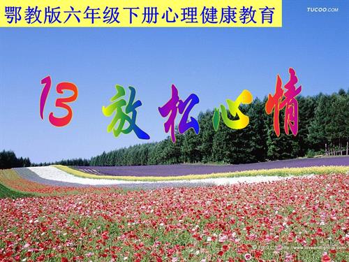 鄂科版六年級心理健康13A 學會放松 課件.ppt