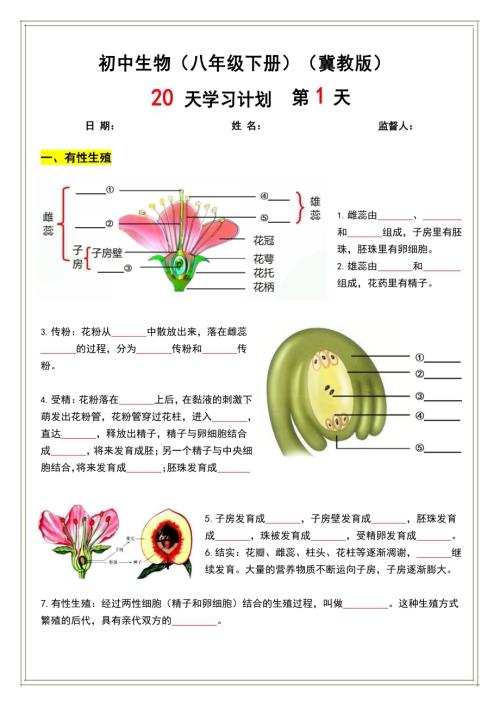 冀教版八年級下冊生物20天計劃練習（含答案）.docx