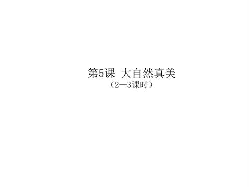 新浙人美版一年級上冊美術大自然真美第23課時課件.pptx