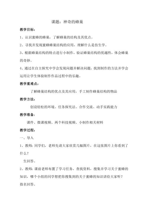 小學綜合實踐活動公開課：神奇的蜂巢-張-教案教學設計5743.doc