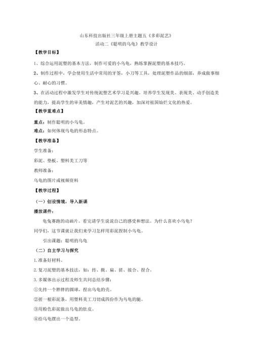 小學綜合實踐活動公開課：聰明的烏龜-于-教案教學設計1149.doc