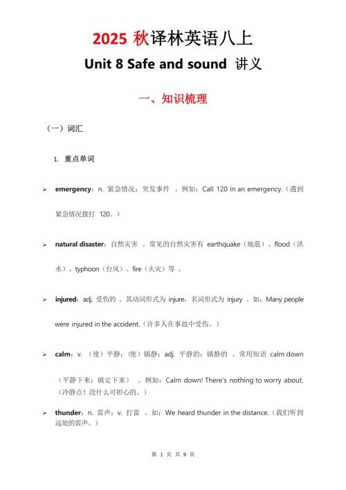 2025秋譯林版八年級上冊英語講義Unit8.docx