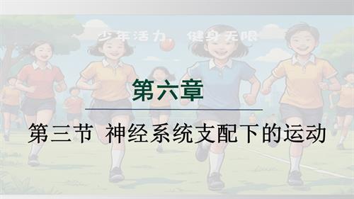 25秋人教版八年級上冊生物學(xué)第三節(jié) 神經(jīng)系統(tǒng)支配下的運動 課件.pptx