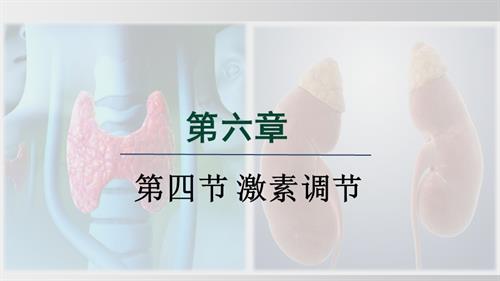 25秋人教版八年級上冊生物學(xué)第四節(jié) 激素調(diào)節(jié) 課件.pptx