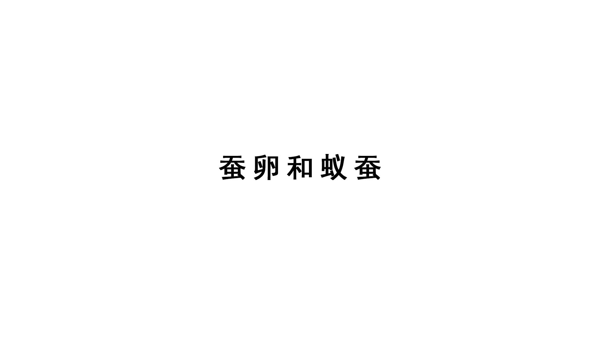 2021新蘇教版四年級下冊科學實驗視頻：蠶卵與蟻蠶.mp4