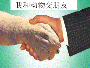 桂美版一年級(jí)下冊(cè)美術(shù)6我和動(dòng)物交朋友課件.ppt